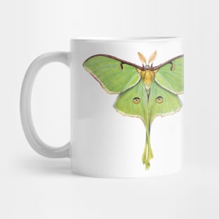 Luna Moth Mug